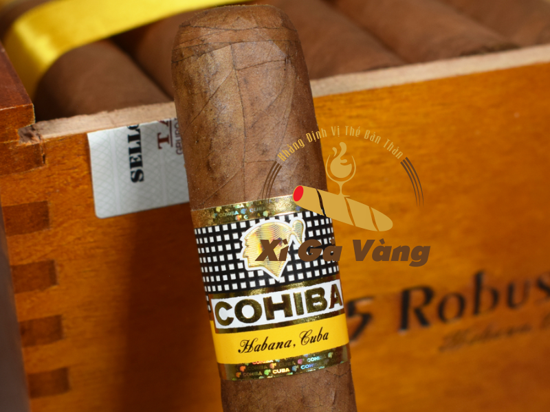 Xì gà Cohiba Robusto cao cấp